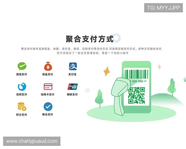 ag视迅官网在线购买流程与支付方式详细说明