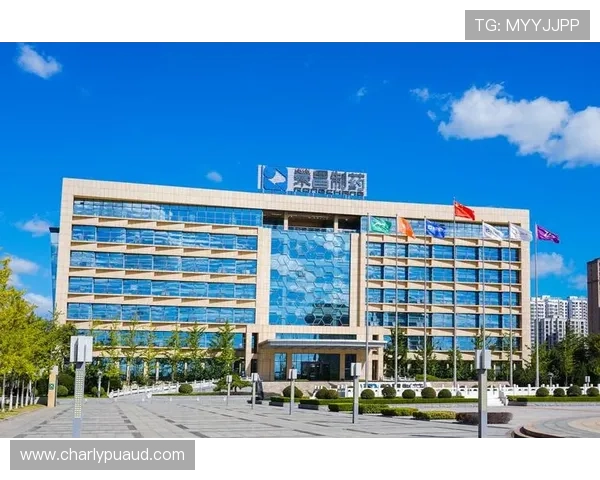 k8凯发体育娱乐如何实现快速提款与资金安全保障策略